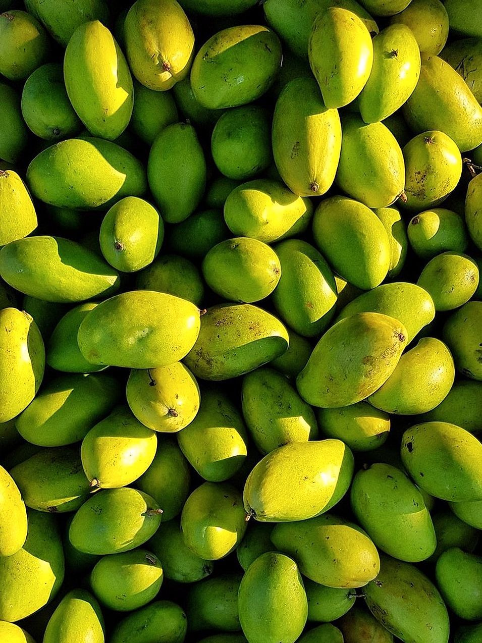Natural Products From Our Fields