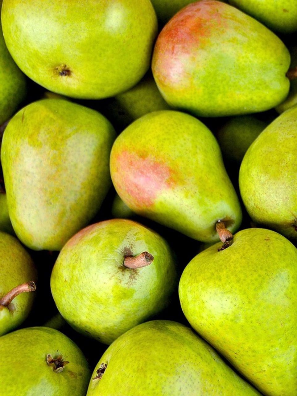 Local Grower Direct to You Here